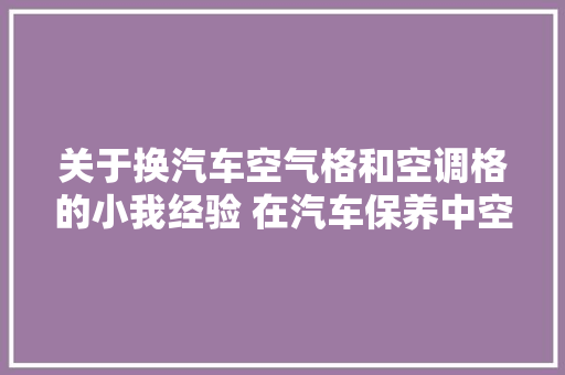 关于换汽车空气格和空调格的小我经验 在汽车保养中空
