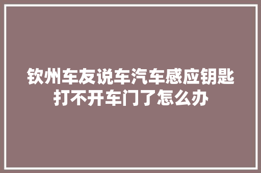钦州车友说车汽车感应钥匙打不开车门了怎么办