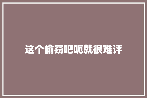 这个偷窃吧呃就很难评