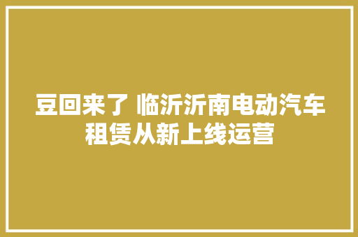 豆回来了 临沂沂南电动汽车租赁从新上线运营
