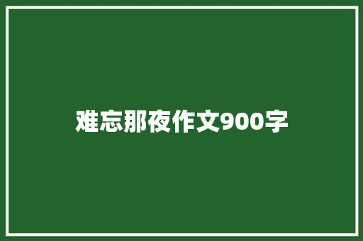 难忘那夜作文900字