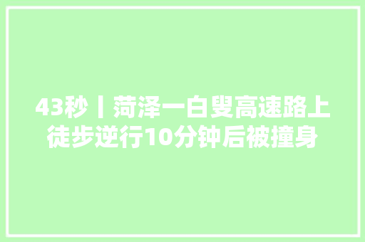 43秒丨菏泽一白叟高速路上徒步逆行10分钟后被撞身亡