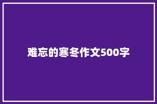 难忘的寒冬作文500字