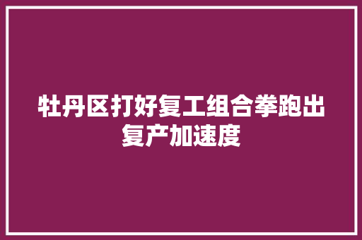 牡丹区打好复工组合拳跑出复产加速度