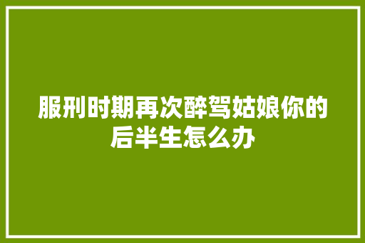服刑时期再次醉驾姑娘你的后半生怎么办