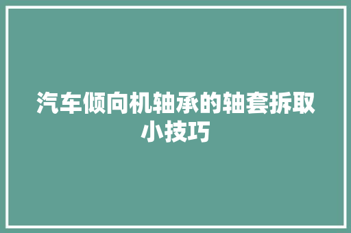 汽车倾向机轴承的轴套拆取小技巧