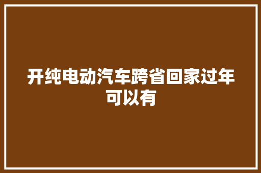 开纯电动汽车跨省回家过年可以有