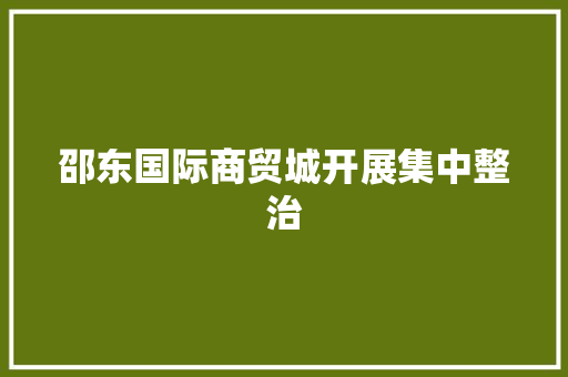 邵东国际商贸城开展集中整治