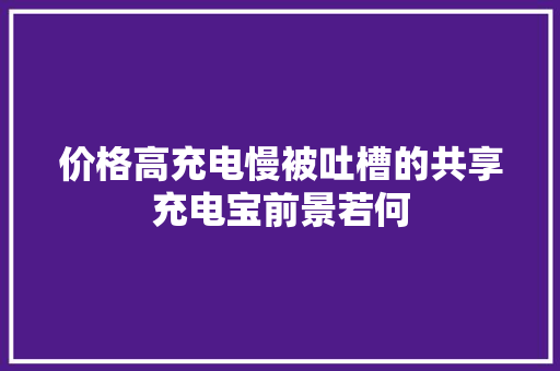 价格高充电慢被吐槽的共享充电宝前景若何