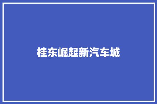 桂东崛起新汽车城
