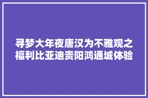寻梦大年夜唐汉为不雅观之福利比亚迪贵阳鸿通城体验店