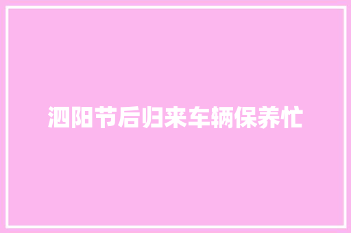 泗阳节后归来车辆保养忙