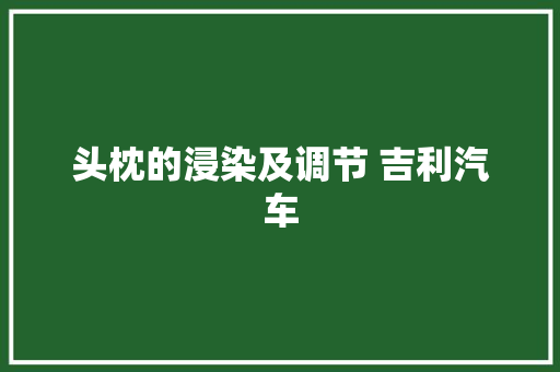 头枕的浸染及调节 吉利汽车