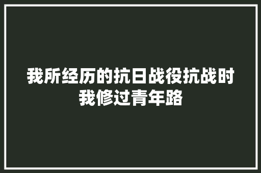 我所经历的抗日战役抗战时我修过青年路