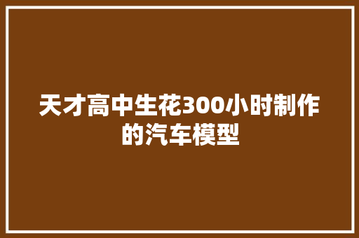 天才高中生花300小时制作的汽车模型
