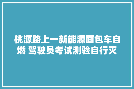 桃源路上一新能源面包车自燃 驾驶员考试测验自行灭火未果急忙电话乞助
