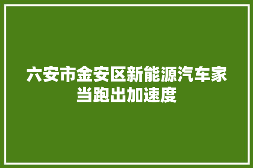 六安市金安区新能源汽车家当跑出加速度