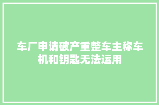 车厂申请破产重整车主称车机和钥匙无法运用