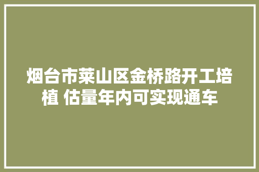 烟台市莱山区金桥路开工培植 估量年内可实现通车