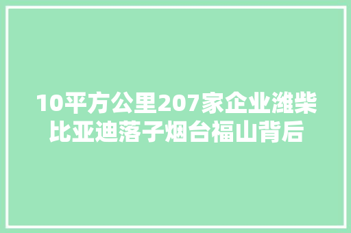 10平方公里207家企业潍柴比亚迪落子烟台福山背后