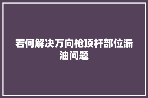 若何解决万向枪顶杆部位漏油问题