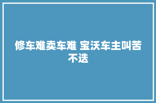 修车难卖车难 宝沃车主叫苦不迭