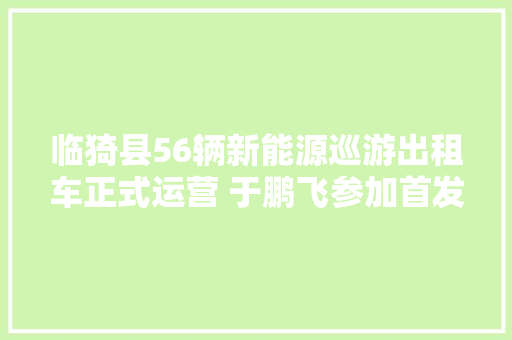 临猗县56辆新能源巡游出租车正式运营 于鹏飞参加首发典礼