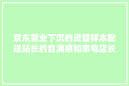 京东营业下沉的灵璧样本配送站长的自满感和家电店长的奔驰梦
