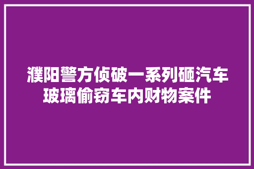濮阳警方侦破一系列砸汽车玻璃偷窃车内财物案件