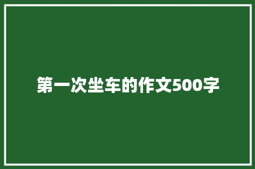 第一次坐车的作文500字