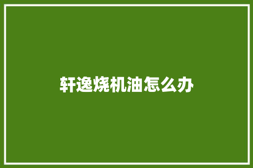 轩逸烧机油怎么办