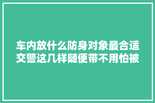 车内放什么防身对象最合适交警这几样随便带不用怕被罚