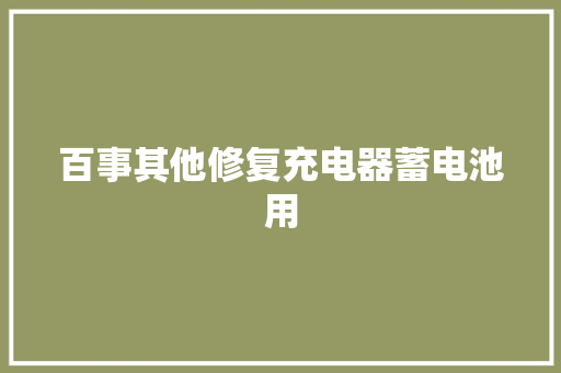 百事其他修复充电器蓄电池用