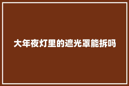 大年夜灯里的遮光罩能拆吗