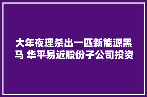 大年夜理杀出一匹新能源黑马 华平易近股份子公司投资7500万元