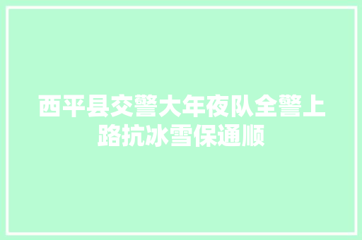 西平县交警大年夜队全警上路抗冰雪保通顺