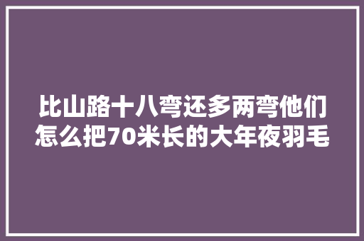 比山路十八弯还多两弯他们怎么把70米长的大年夜羽毛运上山