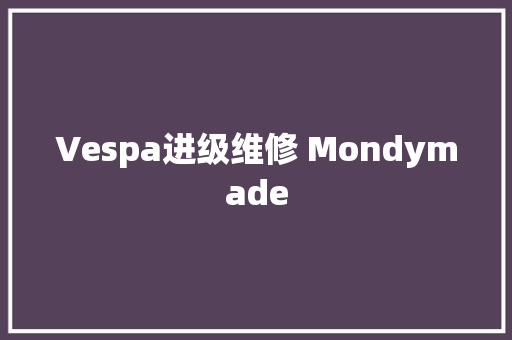 Vespa进级维修 Mondymade