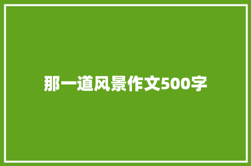 那一道风景作文500字