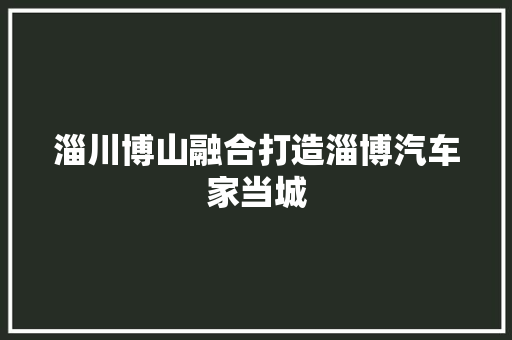 淄川博山融合打造淄博汽车家当城