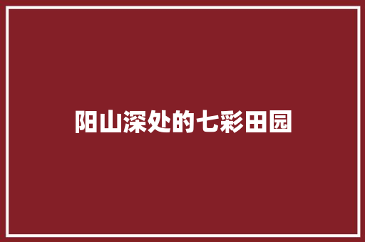 阳山深处的七彩田园