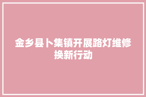 金乡县卜集镇开展路灯维修换新行动