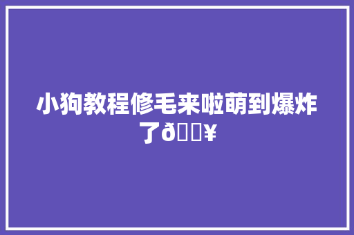 小狗教程修毛来啦萌到爆炸了💥