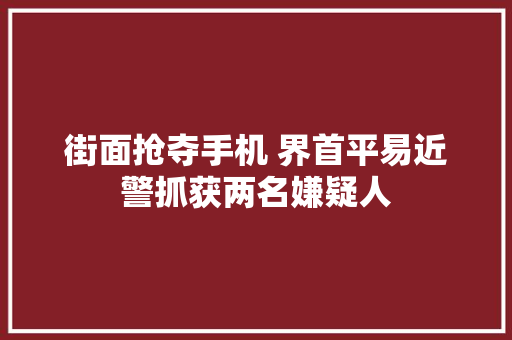 街面抢夺手机 界首平易近警抓获两名嫌疑人