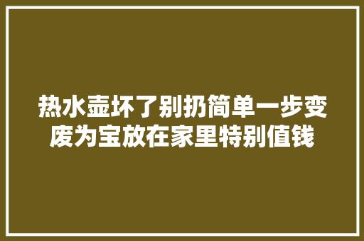 热水壶坏了别扔简单一步变废为宝放在家里特别值钱