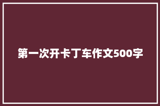 第一次开卡丁车作文500字