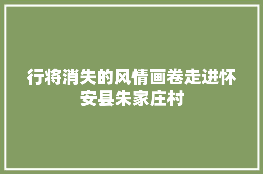 行将消失的风情画卷走进怀安县朱家庄村