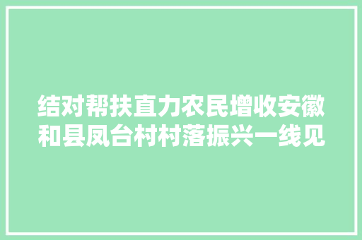 结对帮扶直力农民增收安徽和县凤台村村落振兴一线见闻