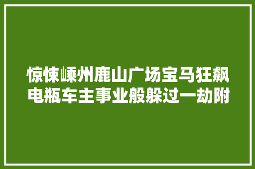 惊悚嵊州鹿山广场宝马狂飙电瓶车主事业般躲过一劫附视频 汽车知识