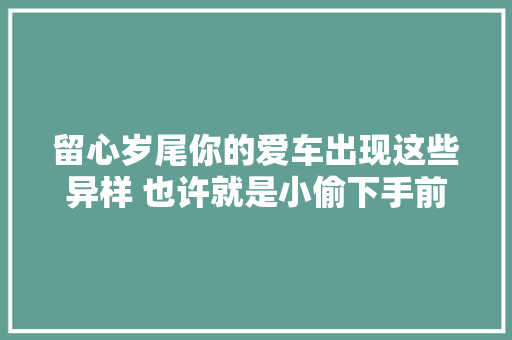 留心岁尾你的爱车出现这些异样 也许就是小偷下手前的记号